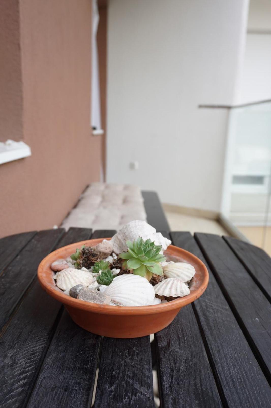 סובוטיקה Apartman_Krstic_1 מראה חיצוני תמונה
